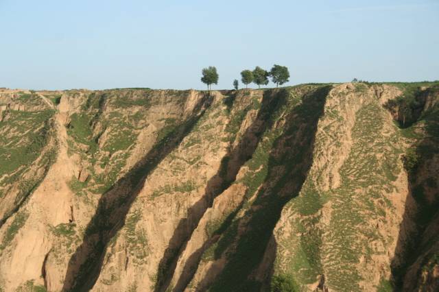 Loess